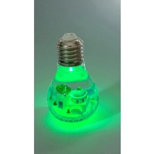 Famemus Accessory Ampul Modelli Işıklı Batmayan Hediyelik Dogum Günü