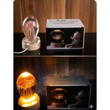 Deniz  Anası Temalı Işıklı Ahşap Altlıklı Kar Küre