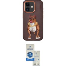 TKÇ  iPhone 11 Kılıf Nova Form Koleksiyonu - Şeffaf Royal Nano Ekran Koruyucu