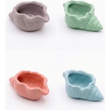 Zisayt Pastel Renkli Dekoratif Istiridye Deniz Kabuğu Objeler (4’lü Set), Takı Tabağı & Sabunluk