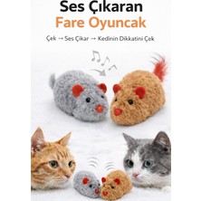 Royalist Sesli Fare Oyuncağı | Kediler Için Etkileşimli Oyun