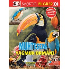 Renklime 3D Şaşırtıcı Bilgiler - Muhteşem Yağmur Ormanı