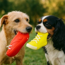 Papağanhane Sesli Köpek Çiğneme Oyuncağı Ikili Set – Dayanıklı & Diş Sağlığına Uygun