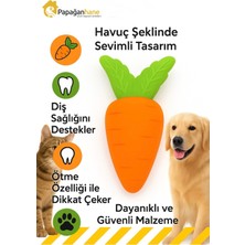 Papağanhane Havuç Şekilli Sesli Köpek Oyuncağı | Dayanıklı Diş Kaşıma ve Eğlenceli Oyun Aksesuarı