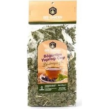 Bee Garden Böğürtlen Yaprağı 40 Gr