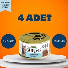 Jungle Gurme Soslu Somonlu Yavru Kedi Yaş Maması 4 x 85 gr