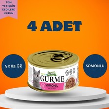 Jungle Gurme Soslu Somonlu Yetişkin Kedi Yaş Maması 4'lü Paket