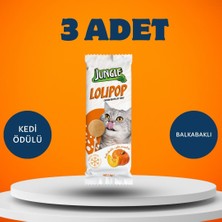 Jungle Kedi Lolipop Ödül Maması 3'lü Paket