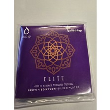 Galli OUD60 Ud Elite Serisi Rectified Nylon 11 Telli Ud Tel Seti | Pürüzsüzleştirilmiş Naylon, Sıcak ve Geleneksel Ton