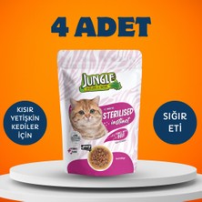 Jungle Sterilised Instinct Sığır Etli Yaş Kedi Maması 4 x 100 gr