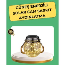 Najmaddin Solar Güneş Enerjili Dekoratif Cam Lamba -Com