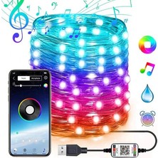 Najmaddin Ally 10MT 100 LED Rgb Bluetooth Telefonla Kontrol Edilen USB LED Lamba İOS-ANDROID-(5775)