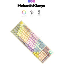 Midcom Mk-12 Mekanik Gaming USB Q Klavye 9 Farklı Rgb Aydınlatma Türkçe