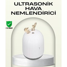 Najmaddin Abs+Pp Malzemeli Taşınabilir 220 ML USB Mist Nemlendirici -Com