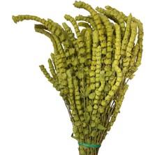 Marsilyan Yayla Çayı 1kg