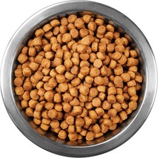 Colezium Tuklu Yetişkin Kedi Sı 1 kg