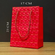 VeraGlobe Buğz Kırmızı Geometrik Desenli Orta Boy Karton Hediye Çantası