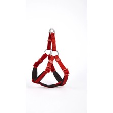 Colezium Köpek Göğüs Tasması Xxs 30*35 cm Kırmızı