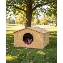 Delixa Reyo Evi Dış Ortam Uygun Evi Osb 50X50X35 cm - CAT17