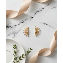 Paun Store Minimal Altın Kaplama Küpe
