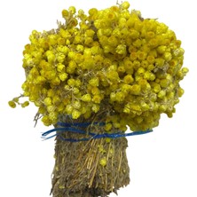 DS LLC Altın Otu 1kg Iegtgrs-34