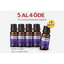 Harmoni Lavanta Esansiyel Uçucu Koku 10ML Difüzör Esansı Buhurdanlık Yağı ve Oda Kokusu  5AL 4öde