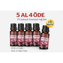 Harmoni Şakayık Esansiyel Uçucu Koku 10ML Difüzör Esansı Buhurdanlık Yağı ve Oda Kokusu  5AL 4öde