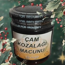 Ulya Hayat’tan Çam Kozalağı Macunu Ibn-I Sina Terkibi Şifa Deposu