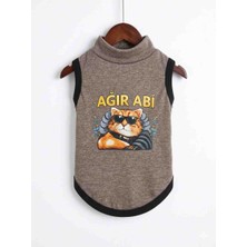 Pafiwear M Beden Kedi Köpek Kıyafetleri