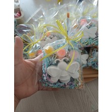 Opulent Accessories Arı Taş Boyama Seti 10 Adet, Okulöncesi Etkinlik Seti, Karne ve Mezuniyet Hediyelik, Doğum Gunu Hediyelik,aile Katilim, Anaokulu Etkinlik