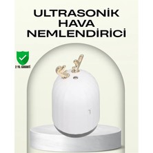 Abs+Pp Malzemeli Taşınabilir 220 ml USB Mist Nemlendirici