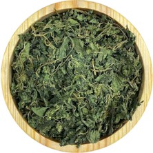 Ince Isırgan Otu 1kg Midastech