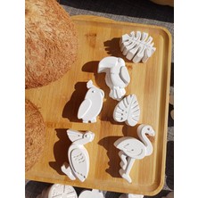 Opulent Accessories Tropik Kuşlar Taş Boyama 25ADET Okul Öncesi Etkinlik, Karne, Mezuniyet, Aile Katılımı, Kurumsal Etkinlik