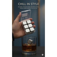 6'lı Çelik Metal Kaplama Viski Taşı Soğutma Buz Küpü