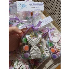 Opulent Accessories Deniz Canliları Taş Boyama Seti 10 Adet Okul Öncesi Etkinlik, Ailekatılımı, Kurumsal Etkinlik, Mezuniyet, Karne Hediyelik, Doğumgünü Hediyekik