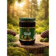 Şefika Ana Kozalak Pekmezi 800 gr