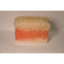 LTG Nova Eşek Sütlü Gül Sabunu 160GR