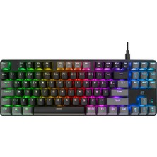 Ronanna Acer Emachines, EAK87, Siyah/gri, USB Kablolu, Rgb Backlight, Red Mekanik Switch, Türkçe Q, 87 Tuşlu, Gaming Klavye