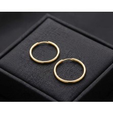 Silver Hunters Gümüş Halka Küpe 14 mm 925 Ayar Gümüş Halka Gold(Altın) Renk Küpe 1 Çift(2 Adet)