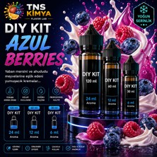 Tns Kimya Dıy Kit 30ML / 60ML / 120ML – Azul Berries - Premium Mix Gıda Aroması