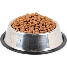 3B Trend 22 cm Paslanmaz Çelik Mama Kabı 2 Adet