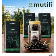 Mutili Natürel Sızma Zeytinyağı 12 Litre - 3 Al 2 Öde Ek 800 gr Siyah Salamura Zeytin