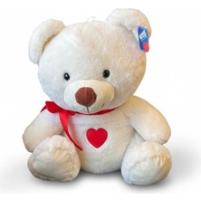 Ronanna PL50200 35 cm Kalp Nakışlı Ayı- Hly