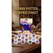 Ronanna Harry Potter Figür Sürpriz Oyuncak Koleksiyon Seti