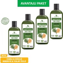 Hunca Biberiye & Yulaf Özlü Şampuan, Saç Dökülmesine Karşı Yardımcı 485 ml 4lü Set