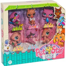 Ronanna KZL-3046A4 Pet Star 6'lı Miniş Seti -Kızılkaya Oyuncak