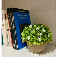FB Cup Naturel Görünümlü Saksılı Beyaz Çiçekli Dekoratif Bitki (13X17 Cm)