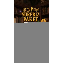 Ronanna Harry Potter Sürpriz Figür Koleksiyonu Kutu Oyuncak