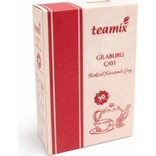 Teamix Gilaburu Çayı Bitkisel Karışımlı 60 G 30 Süzen Poşet