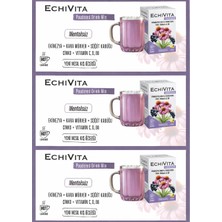 Echivita Echıvıtıa Drink Mix Kara Mürverli 12 Saşe (3 Adet)